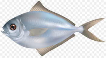 Freshwater fish Food Saltwater fish Clip art - fish Freshwater fish Food Saltwater fish Clip art - fish