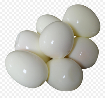 Fried chicken Fried egg Boiled egg - Boiled Egg Fried chicken Fried egg Boiled egg - Boiled Egg