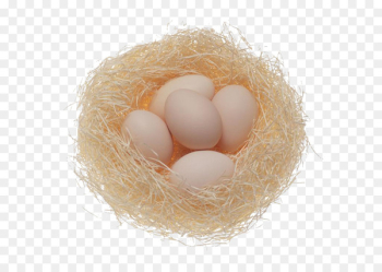Fried egg Chicken egg Scrambled eggs - Nest egg Fried egg Chicken egg Scrambled eggs - Nest egg