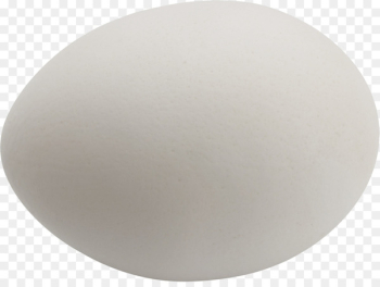 Fried egg Chicken Scrambled eggs - egg roll Fried egg Chicken Scrambled eggs - egg roll
