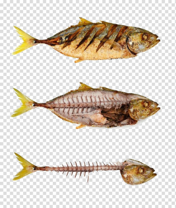 Fried fish Fish bone Fishbone, Fish and meat transparent background PNG clipart Fried fish Fish bone Fishbone, Fish and meat transparent background PNG clipart