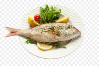 Fried fish Seafood Fish as food Health - Grill fish Fried fish Seafood Fish as food Health - Grill fish