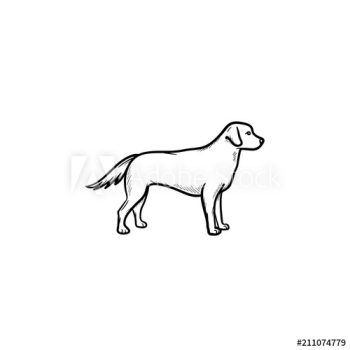 Friendly dog hand drawn outline doodle icon