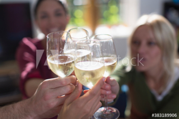 Friends toasting white wine glasses Friends toasting white wine glasses