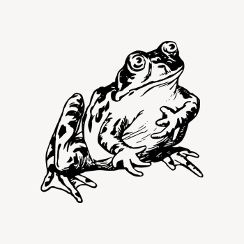 Frog clipart, amphibian animal illustration | Free Vector Illustration - rawpixel