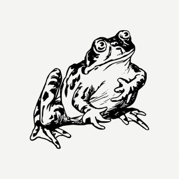 Frog collage element, amphibian animal | Free PSD Illustration - rawpixel Frog collage element, amphibian animal | Free PSD Illustration - rawpixel