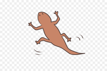 Frog Lizard Illustration Clip art Crocodiles - frog Frog Lizard Illustration Clip art Crocodiles - frog