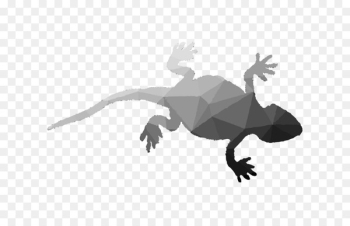 Frog Reptile Terrestrial animal Fauna Legendary creature - Frog Reptile Terrestrial animal Fauna Legendary creature -