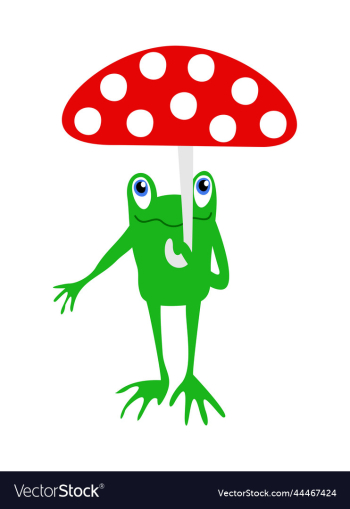 frog with umbrella frog with umbrella