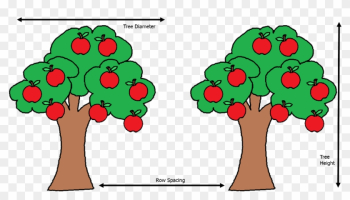 From Syngenta Website - Apple Tree Clipart From Syngenta Website - Apple Tree Clipart