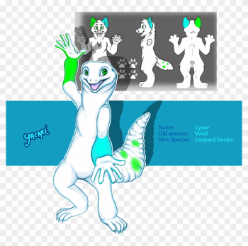From Wolf To Leopard Gecko - Snow Leopard From Wolf To Leopard Gecko - Snow Leopard