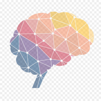 Frontiers in neuroscience Frontiers Media Brain - psychology vector 