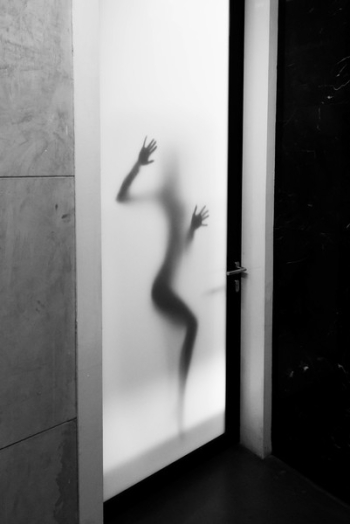 Frosted Glass Bathroom Door Frosted Glass Bathroom Door