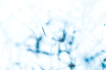 Frosty background | Free public domain photo - 564001 Frosty background | Free public domain photo - 564001