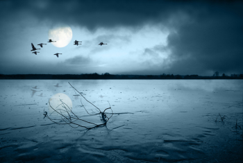 Frozen lake in moonlight Frozen lake in moonlight