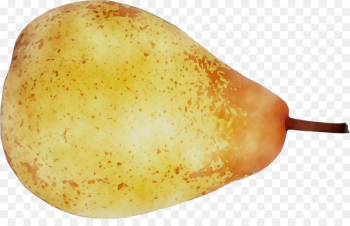 Fruit - Fruit -