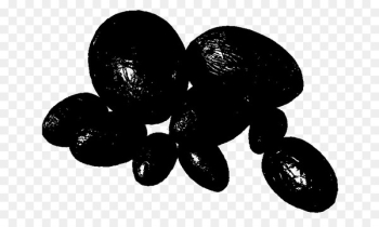 Fruit - Fruit -