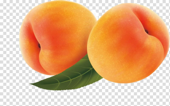 Fruit Apricot Peach, apricot transparent background PNG clipart Fruit Apricot Peach, apricot transparent background PNG clipart
