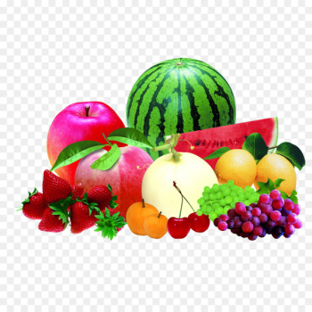 Fruit Auglis Drawing - 3d fruits Vector 3d sketch 