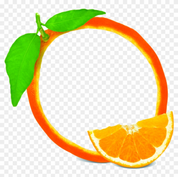 Fruit Frame - Orange Fruit Photo Frame Fruit Frame - Orange Fruit Photo Frame
