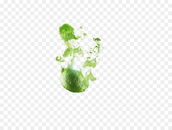 Fruit, Green, Plant PNG Fruit, Green, Plant PNG