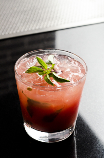 Fruit Juice Fruit Juice