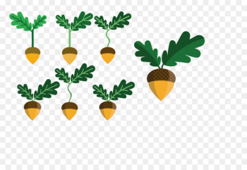 Fruit, Leaf, Plant Stem, Plant PNG Fruit, Leaf, Plant Stem, Plant PNG