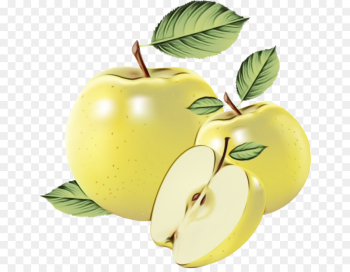 fruit natural foods apple plant leaf fruit natural foods apple plant leaf