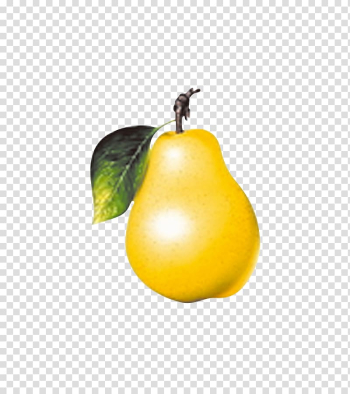 Fruit Pear Vegetable Apple, pear transparent background PNG clipart Fruit Pear Vegetable Apple, pear transparent background PNG clipart