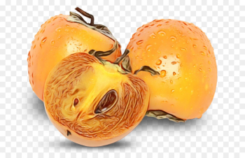 fruit plant food perennial plant fruit plant food perennial plant