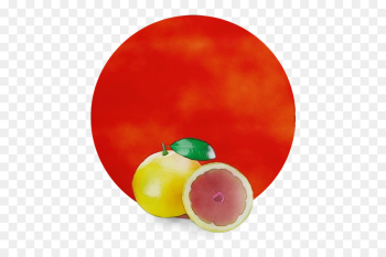 fruit plate food plant seedless fruit fruit plate food plant seedless fruit