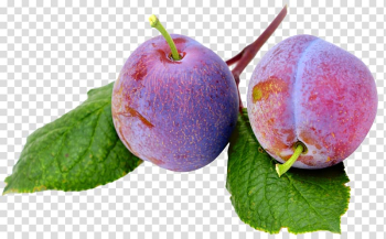 Fruit Plum, Plums transparent background PNG clipart Fruit Plum, Plums transparent background PNG clipart