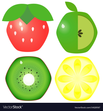 Fruit set image vector image Fruit set image vector image