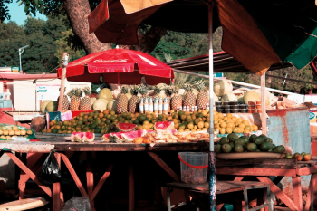 Fruit Stand Fruit Stand