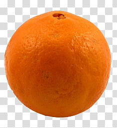 Fruits Objects, orange fruit transparent background PNG clipart Fruits Objects, orange fruit transparent background PNG clipart