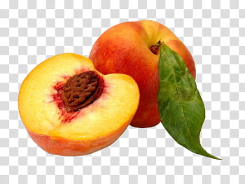 Fruits Objects, red peach fruit transparent background PNG clipart Fruits Objects, red peach fruit transparent background PNG clipart