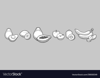fruits set thin lines fruits set thin lines