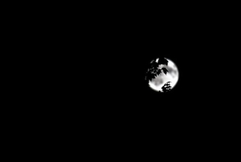 full moon full moon