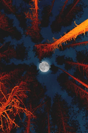 full moon full moon