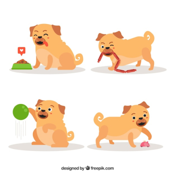 Fun pugs with lovely style
