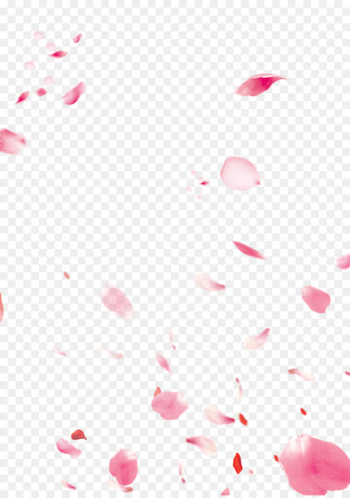 Fundal Download - Peach petals decorated background material Fundal Download - Peach petals decorated background material