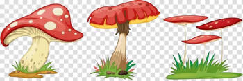 Fungus Cartoon Mushroom, mushroom transparent background PNG clipart Fungus Cartoon Mushroom, mushroom transparent background PNG clipart