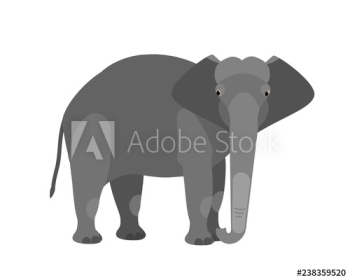 Funny adorable cute elephant isolated on white background Funny adorable cute elephant isolated on white background