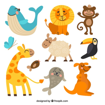 Funny animal collection Funny animal collection