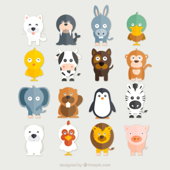 Funny animals collection Funny animals collection