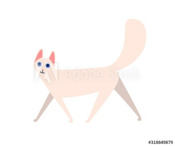 Funny cartoon fluffy cat angora vector flat illustration Funny cartoon fluffy cat angora vector flat illustration