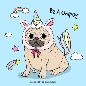 Funny pug with unicorn costume Funny pug with unicorn costume