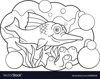 funny sword fish funny sword fish