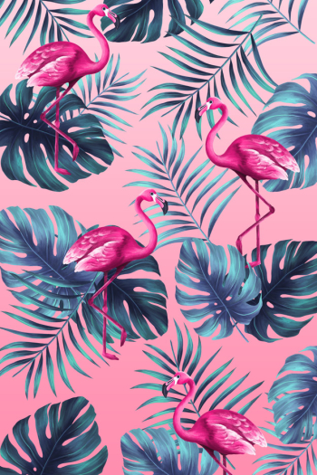Funny tropical print in hand painted style with pink flamingo Free Psd Funny tropical print in hand painted style with pink flamingo Free Psd