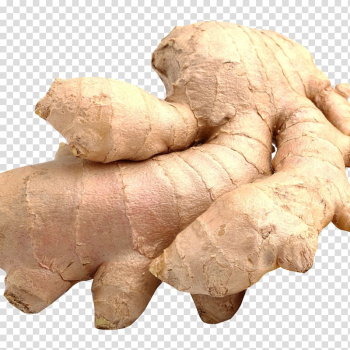 Galangal Thai cuisine Chutney Ginger Food, ginger transparent background PNG clipart Galangal Thai cuisine Chutney Ginger Food, ginger transparent background PNG clipart